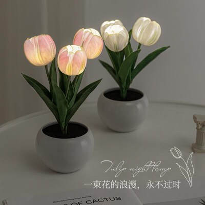 给妈妈买的礼物生日礼品送母亲长辈老人实用三八妇女节38女神节日