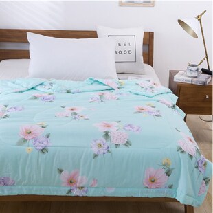 苏香绸儿童被幼儿园夏被舒香绸韩香绸童被人造棉婴儿被卡通空调被