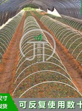 高弹力拱棚大小支架菜棚保温棚花棚玻纤杆农用拱竿骨架玻璃钢实心