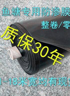 渗膜土工膜防膜膜池塘防水布E鱼池塑料薄水复合膜防漏水