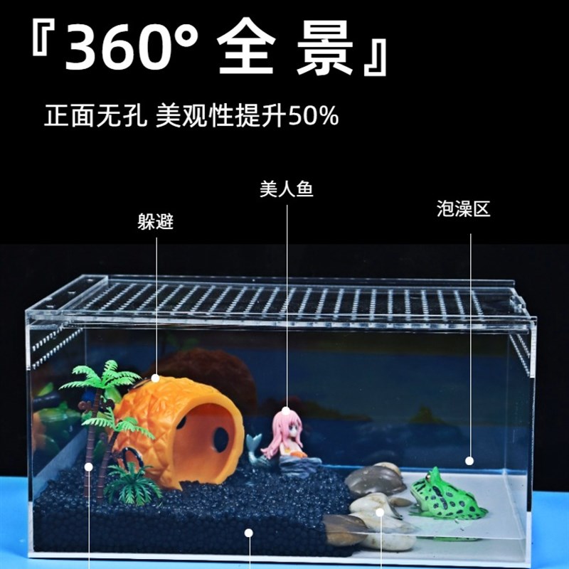 压克力饲养盒角蛙生态缸造景青蛙套餐爬宠干湿分离角蛙专用饲养箱
