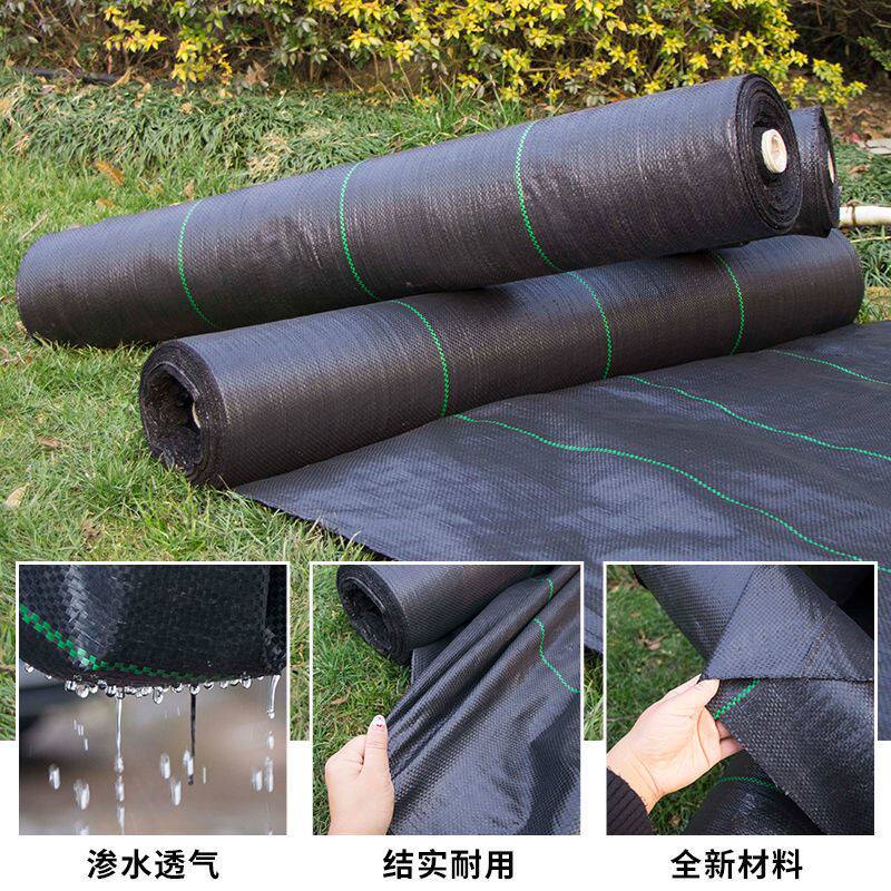 新型坑老化除草布农用地布地膜果园果树耐用环保防长草地钉