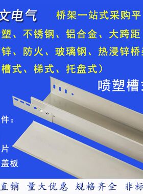 镀锌桥架线槽不锈钢防火喷塑桥架铝合金热镀锌托盘式金属桥架200