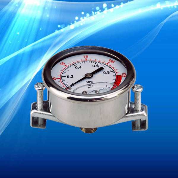 余姚市舜寰生产压力表、SHLLJ净水机专用压力表、纯水机专用