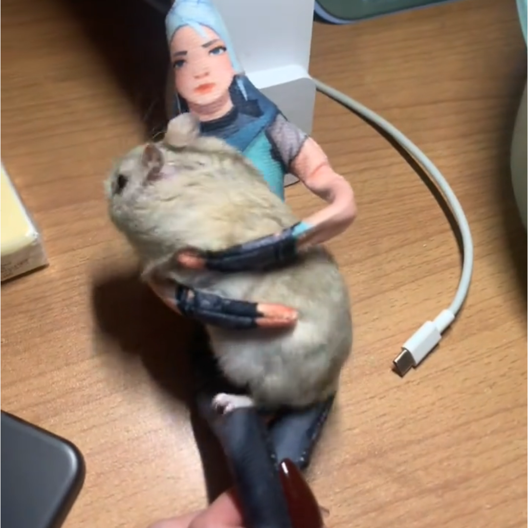 瓦罗兰特抽象无畏契约抽象公仔手脚铁丝骨架可活动老鼠干毛绒玩偶