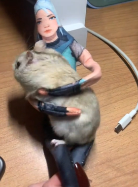 瓦罗兰特抽象无畏契约抽象公仔手脚铁丝骨架可活动老鼠干毛绒玩偶