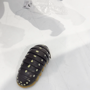 创意整蛊遥控蜘蛛老鼠男孩电动玩具吓人仿真眼镜蛇昆虫动物蟑螂