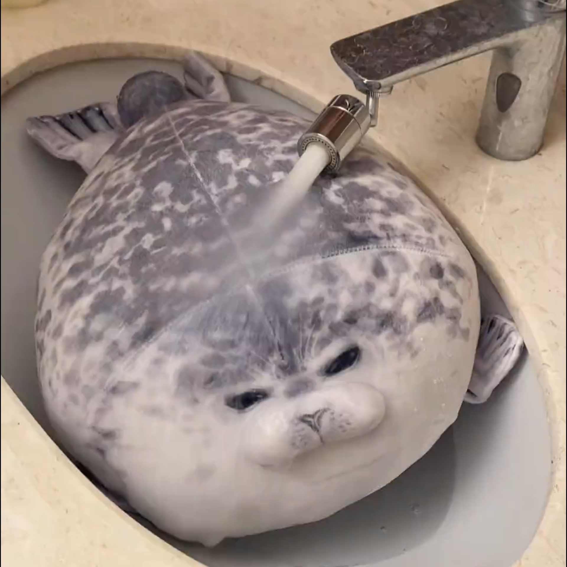 超萌创意网红小海豹毛绒抱枕搞怪派对礼物生日惊喜抱枕压床玩偶