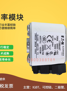 170M4464/4465/4466/4467/4468/4469/4488/4489快速保险丝熔断器