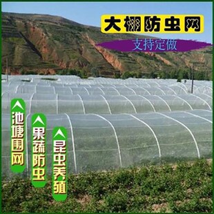 家庭种菜防虫网种菜专用网蔬菜防虫网纱网菜园盖菜地网菜棚防虫网