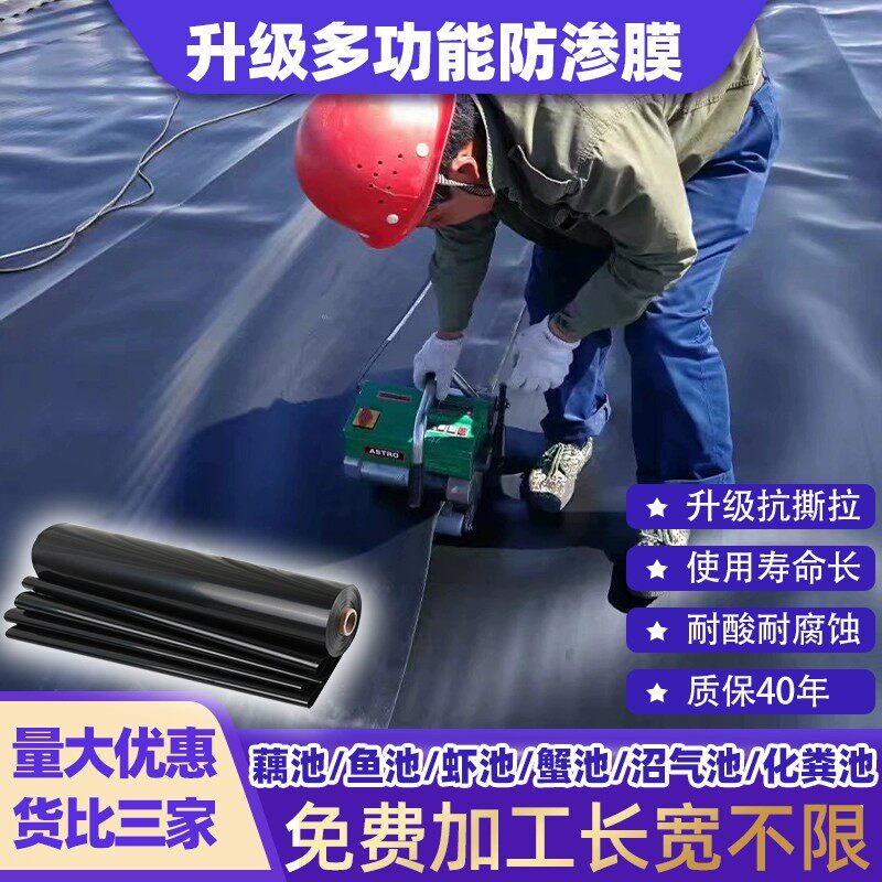 加厚鱼塘膜鱼塘防渗膜鱼塘防水布鱼池专用养殖土工膜农用薄膜