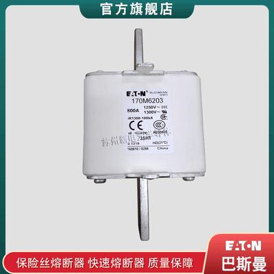 170M6202 6203 6206 6207 6229 6256 6277 6281 6299巴斯曼熔断器