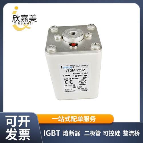 170M4392 170M4393 快速熔断器 电子元器件 库存充足 量大价优