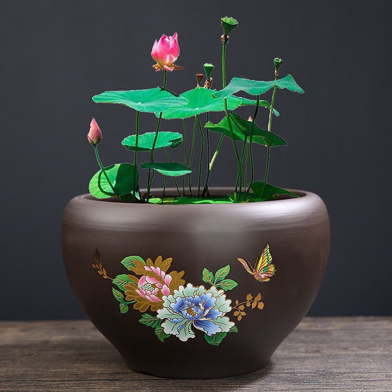 紫砂大号荷花缸莲花专用陶瓷水培铜钱草花盆无孔水养睡莲碗莲盆缸