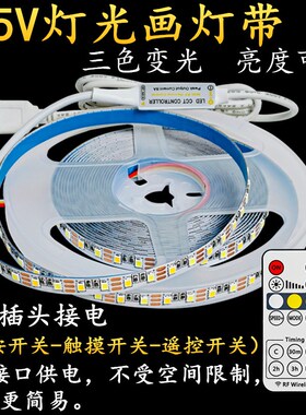5v灯带USB三色变光阳光画cob双色装饰相框背景氛围led自粘软灯条