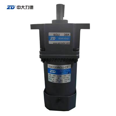 ZD中大120W调速电机马达齿轮箱减速机5IK120RGU-CF/5GU36K