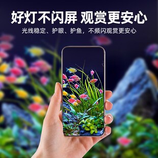 鱼缸灯LED水草照明鱼缸灯防贱水小型全光M谱专用照明观赏灯管夹灯