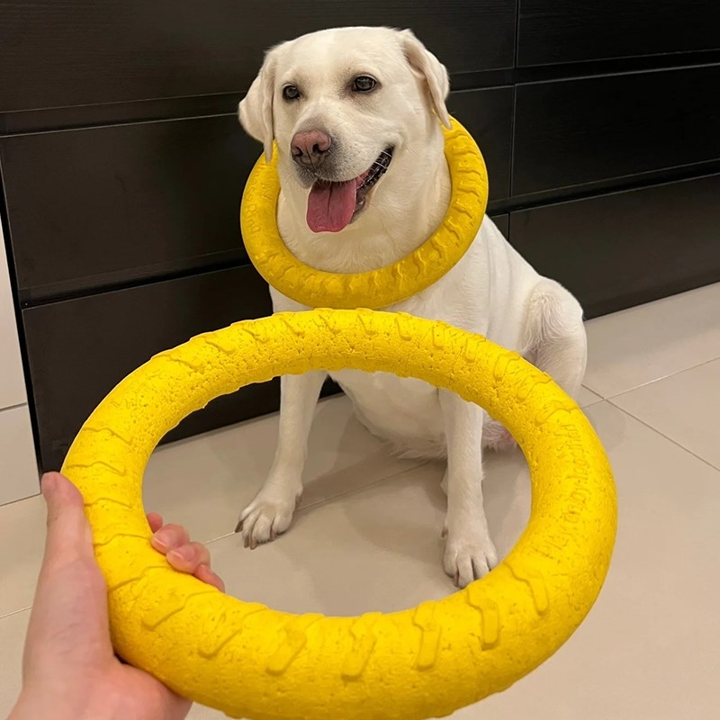 狗狗玩具橡胶大拉环宠物拉布拉多马犬边牧磨O牙耐咬大型犬户外训