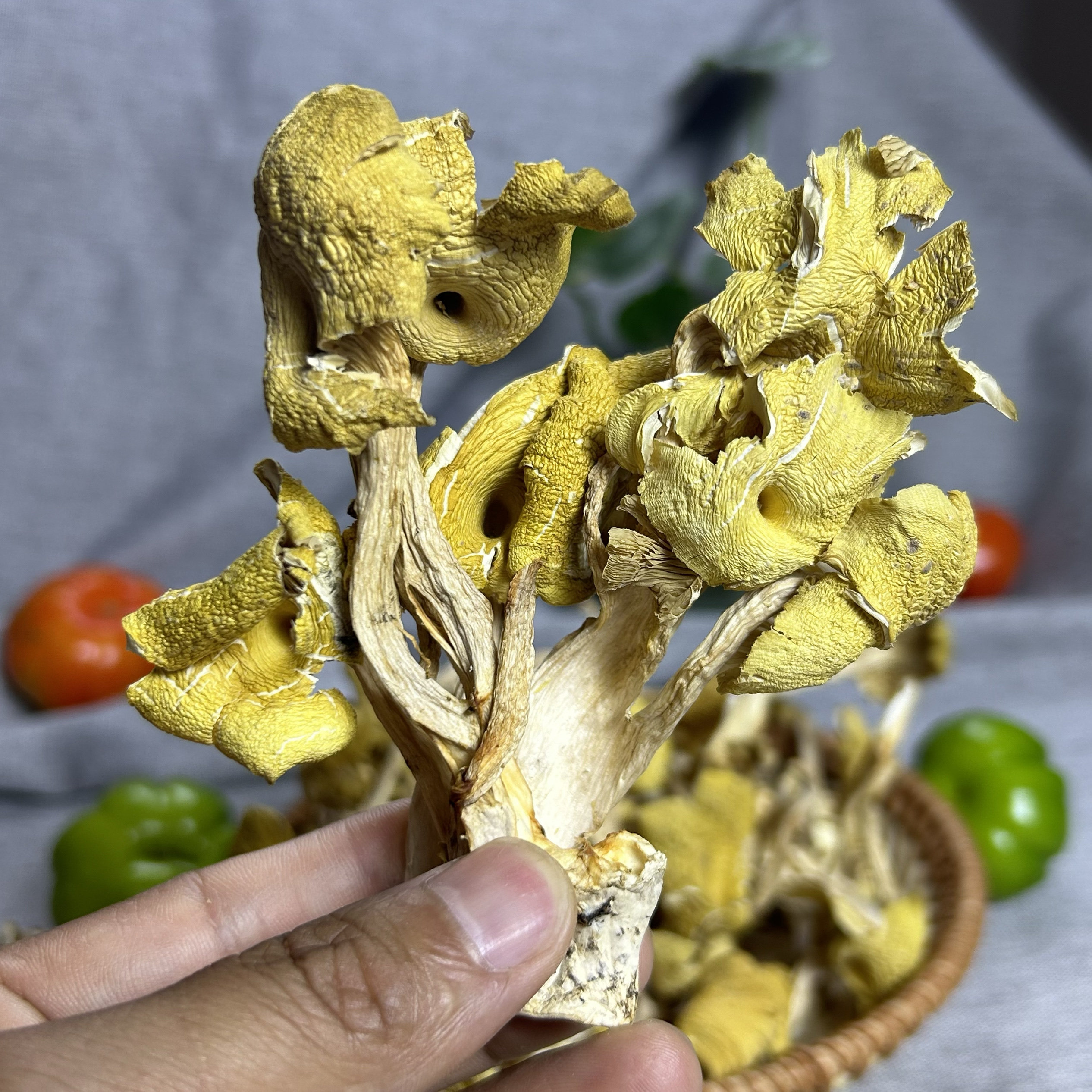 云南野生特产鸡油菌榆黄菇干货黄金菇香菇山珍黄丝菌煲汤美味包邮