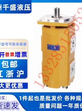 CBG2040/2040-BFP/LH长源液压双联齿轮油泵2063/20402050/2050