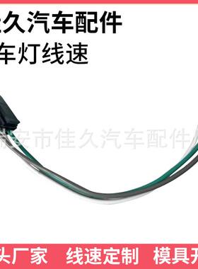 WP2172937开关连接器线束