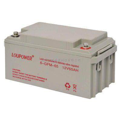 Loupower莱力蓄电池6-GFM-65供应莱力蓄电池12V6H包邮