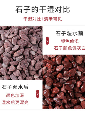 天然红色砾石胶粘石水磨石地面专用枯山水造景铺路地暖找平石头子