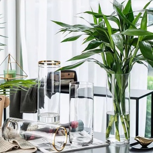 富贵竹花瓶专用水培植物大器皿玻璃透明养水竹雪柳马醉木客厅摆件