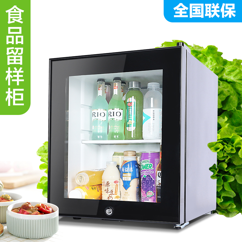 幼儿园食品留样柜饮料冷柜小冰箱小型家用商用冷藏保鲜展示柜带锁