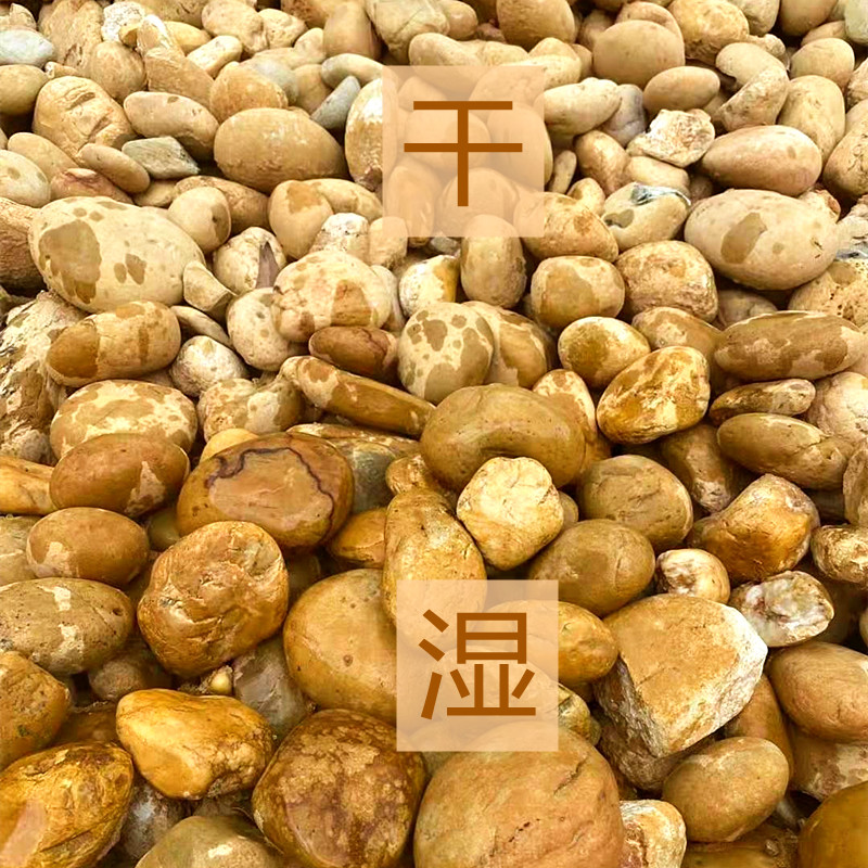 天然黄色鹅卵石园林铺路石黄蜡石水冲石黄硅石公园别墅园艺鱼池用