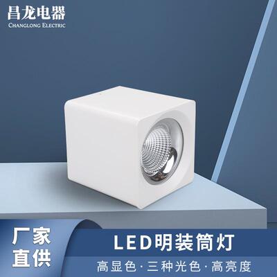 仙客来系列led方形明装筒灯极简单头天花灯家用客厅过道商场展厅