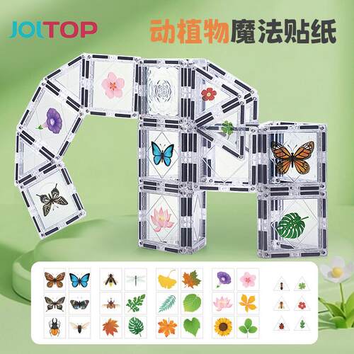 科博彩窗磁力片全新系列透明白色植物标本款可贴各种植物动物图案