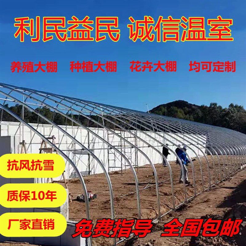 农用养殖大棚全套养鸡家用小型蔬菜种植棚养猪牛羊大棚骨架椭圆管