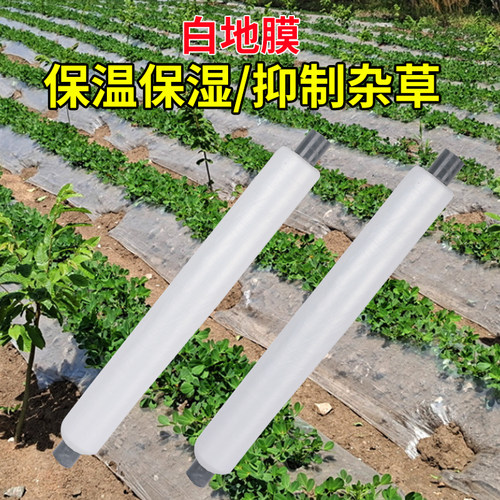 白地膜农用白膜保温保湿蔬菜大棚种植防草地膜耐拉扯塑料薄膜