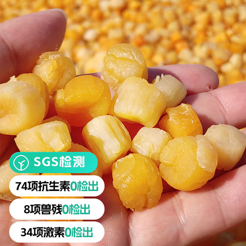 远方的梦想霞客食浦自然风干淡晒干贝瑶柱无盐海鲜干货0添加0防腐