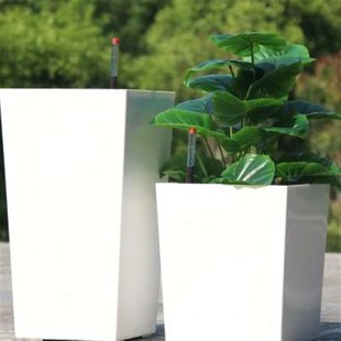 北欧风可储水圆形室外客厅塑料盆自动浇灌吸水懒人塑料花盆绿萝盆