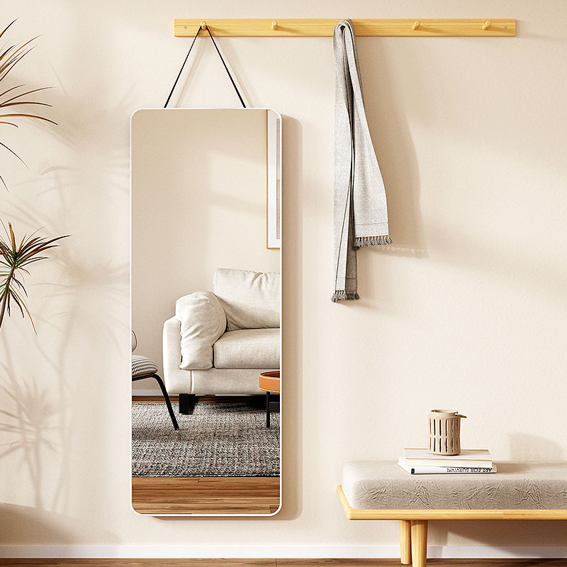 网红全身穿衣镜家用玄关入户壁挂贴墙带挂衣架一体试衣镜子高级感