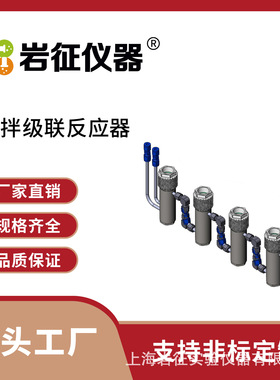 岩征仪器 CSTR连续溢流反应器 反应器厂家