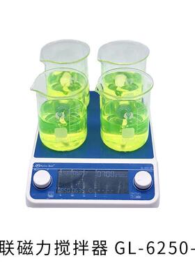 GL-6250B/6250C磁力搅拌器
