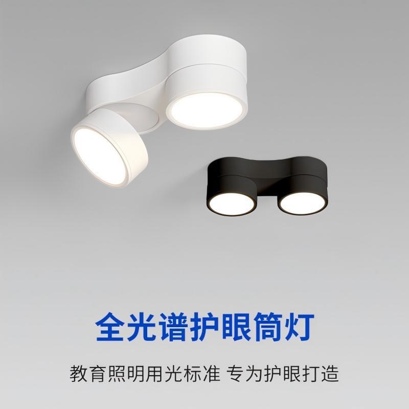 明装筒灯客厅家用2024新款两头超薄可调节吸顶全光谱LED无主灯