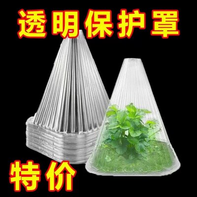 重复使用专用方形大棚使用植物钟罩免受鸟类霜冻伤害绿色育苗保护