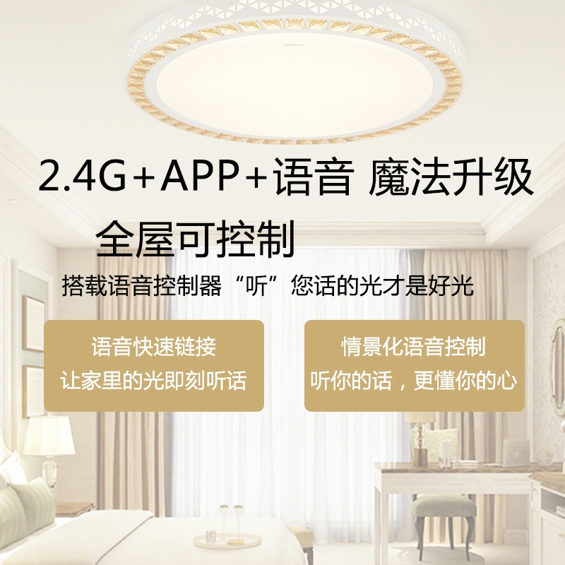 led驱动电源2.4G智能语音控制调光四变色带侧发光软灯带分段遥控