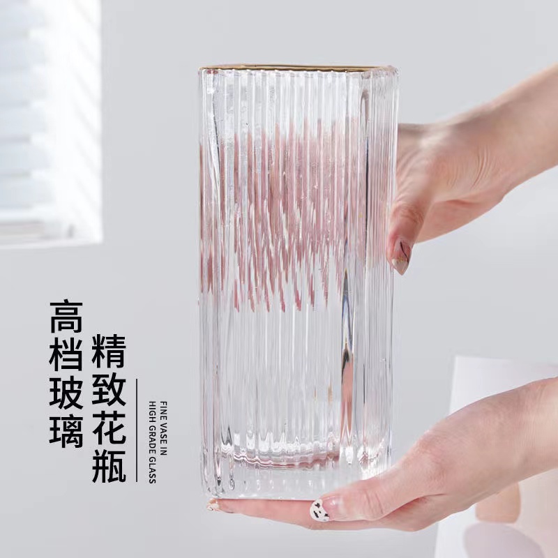 粉公主水培植物盆栽绿植好养室内客厅阳台花卉观叶植物净化空气花