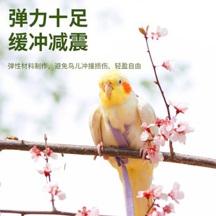 小太阳鹦专用鹉放飞绳遛鸟神器飞行背带小鸟外出绳子牵引绳链子