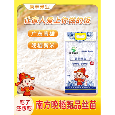 韶关南雄长粒型香米灿米
