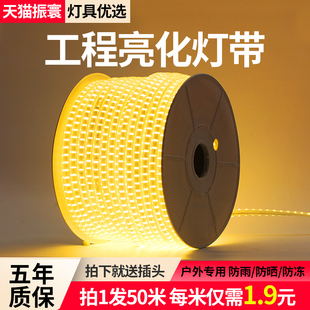 金黄光灯带led灯条户外防水220V工程亮化室外景观照明暖色灯带条