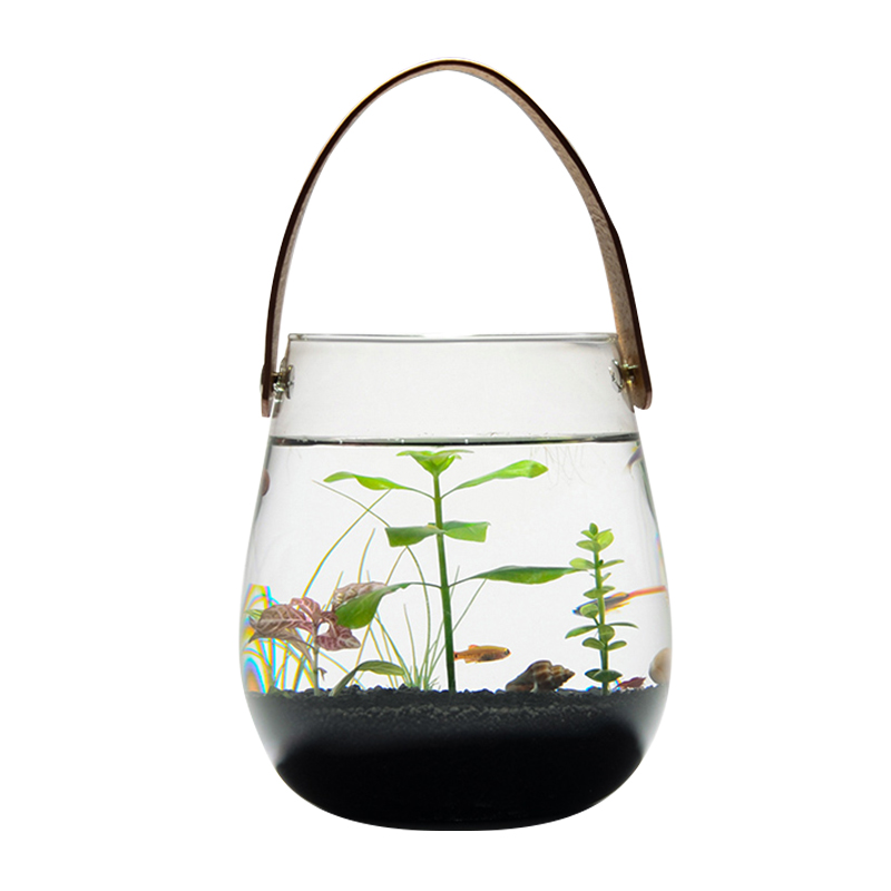 生态瓶微景观鱼造景手提小鱼缸水族办公桌面客厅创意观赏免换水