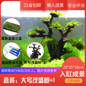 鱼缸莫斯树造景水草沉木树迎客松莫斯树骨架材料懒人造景摆件