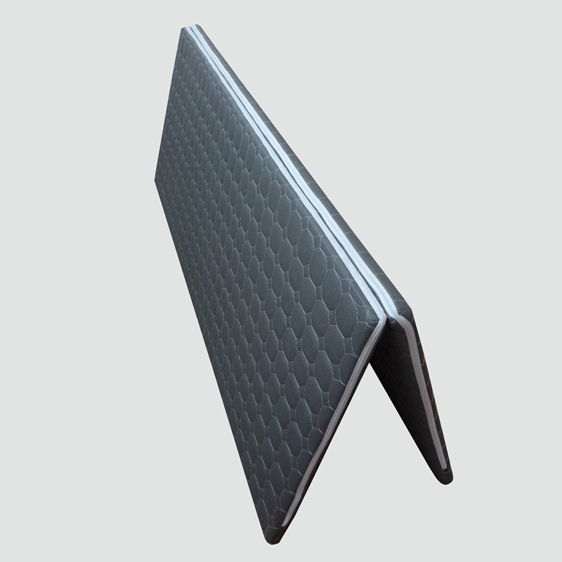 汉尼斯费斯多坐卧两用沙发床垫80*200CM1.6m儿童折叠椰棕偏硬拆洗