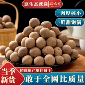 2025新货桂圆干龙眼肉干正品 官方旗舰店非无可泡水厚干燥剂